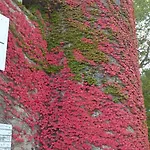 Chateau De Mauras Chomérac