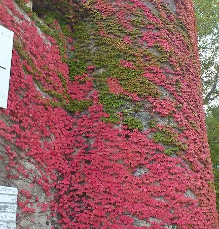 Chateau De Mauras Chomerac